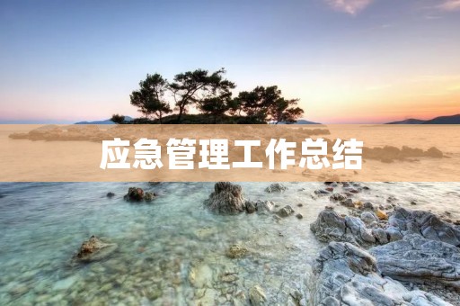 应急管理工作总结