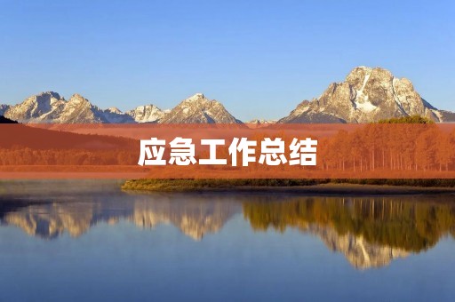 应急工作总结:经验与反思