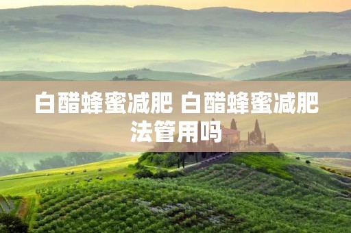 白醋蜂蜜减肥 白醋蜂蜜减肥法管用吗