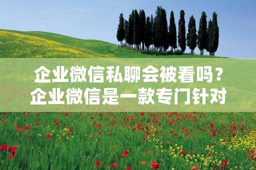 企业微信私聊会被看吗?企业微信是一款专门针对企业内部通讯而开发的应用程序,可以实现企业内部通讯、文件共享、日程安排等多种功能,使用起来非常方便。由于企业微信的特殊性质,很多人都会担心自己的私聊内容是否会被公司或者上级领导看到,今天我们就来探讨一下这个问题。