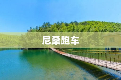 尼桑跑车:终极驾驭体验 尼桑跑车:终极驾驭体验