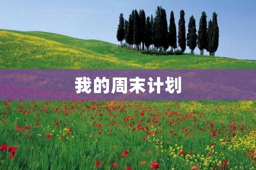 我的周末计划 我的周末计划
