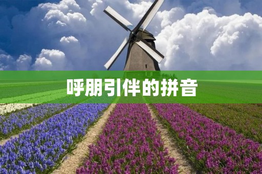 呼朋引伴的拼音：hū péng yǐn bàn