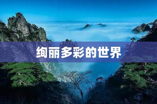 绚丽多彩的世界