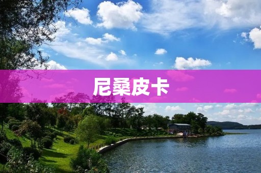 尼桑皮卡：传奇的商用车