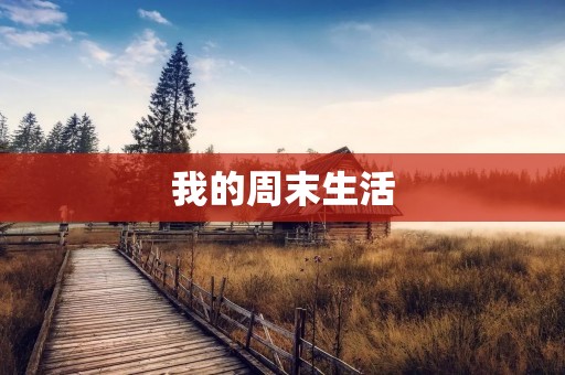 我的周末生活 我的周末生活