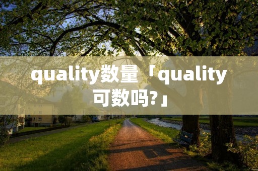 quality数量「quality可数吗?」