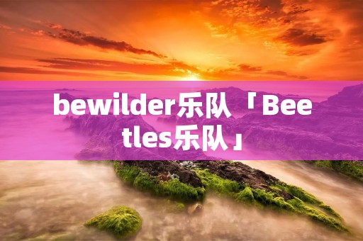 bewilder乐队「Beetles乐队」