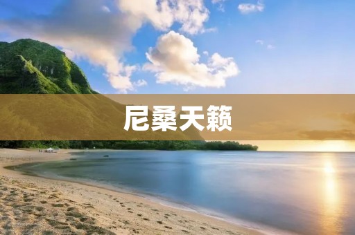 尼桑天籁:高品质豪华轿车 尼桑天籁:高品质豪华轿车