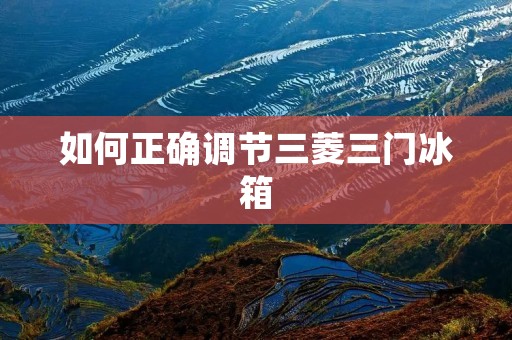 如何正确调节三菱三门冰箱 如何正确调节三菱三门冰箱