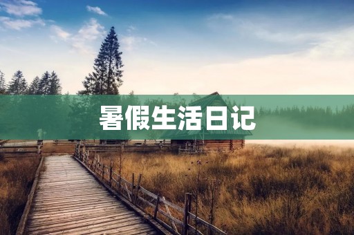 暑假生活日记