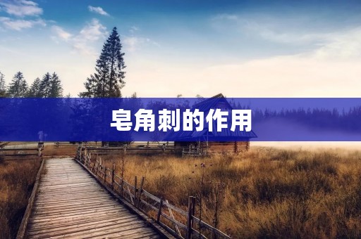 皂角刺的作用:从食品到医药 皂角刺的作用:从食品到医药