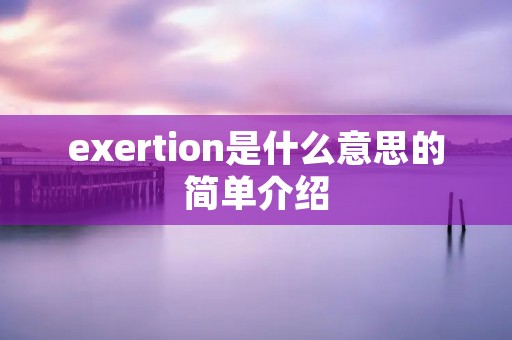 exertion是什么意思的简单介绍