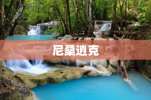 尼桑逍克：豪华时尚的全能家用车