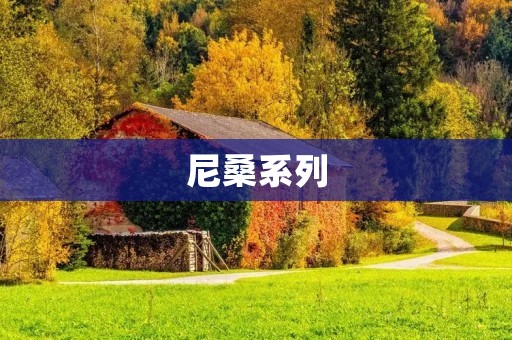 尼桑系列:探究日本汽车制造业的一匹黑马 尼桑系列:探究日本汽车制造业的一匹黑马