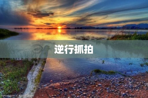 逆行抓拍：道路安全的“守护者”