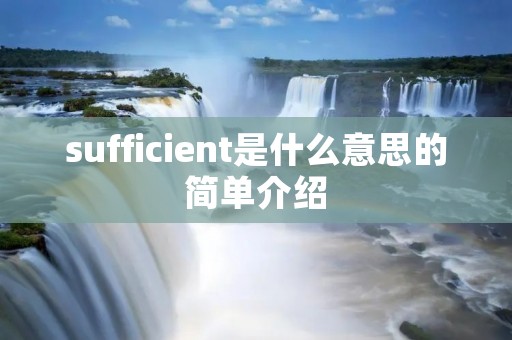 sufficient是什么意思的简单介绍