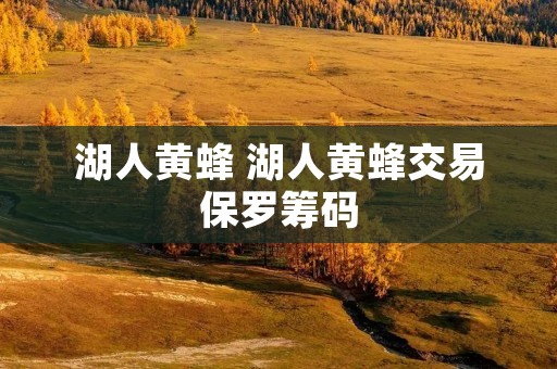 湖人黄蜂 湖人黄蜂交易保罗筹码 湖人黄蜂 湖人黄蜂交易保罗筹码