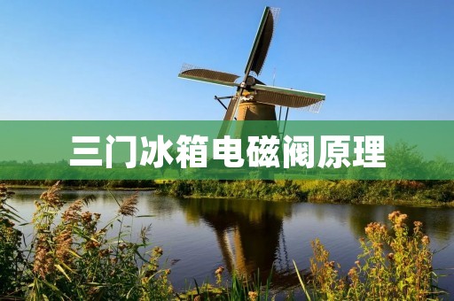 三门冰箱电磁阀原理