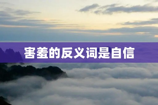 害羞的反义词是自信