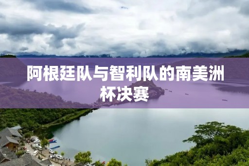 阿根廷队与智利队的南美洲杯决赛 阿根廷队与智利队的南美洲杯决赛