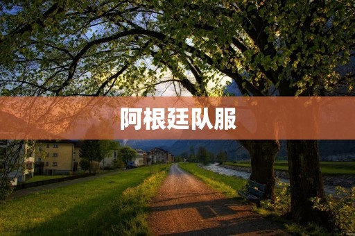 阿根廷队服:从传统到现代 阿根廷队服:从传统到现代