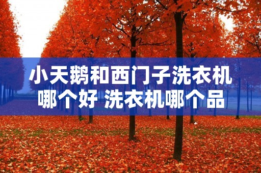 小天鹅和西门子洗衣机哪个好 洗衣机哪个品牌最耐用质量好
