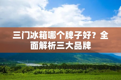 三门冰箱哪个牌子好？全面解析三大品牌