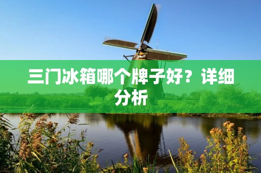 三门冰箱哪个牌子好?详细分析 三门冰箱哪个牌子好?详细分析