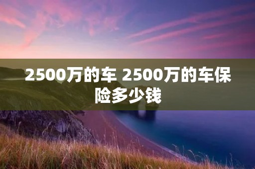 2500万的车 2500万的车保险多少钱