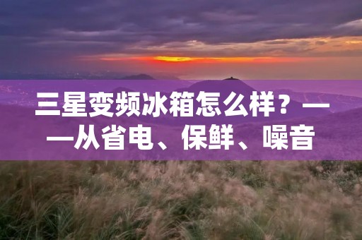 三星变频冰箱怎么样?——从省电、保鲜、噪音等方面详细评测 三星变频冰箱怎么样?——从省电、保鲜、噪音等方面详细评测