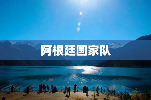 阿根廷国家队:梦想与挑战 阿根廷国家队:梦想与挑战