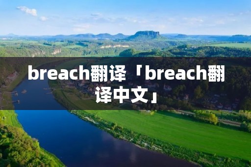 breach翻译「breach翻译中文」