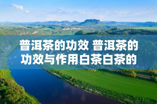 普洱茶的功效 普洱茶的功效与作用白茶白茶的好处