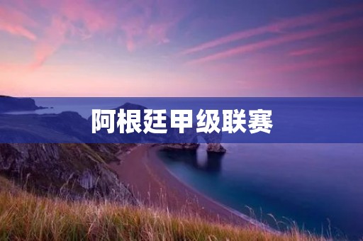 阿根廷甲级联赛：南美洲的足球狂欢
