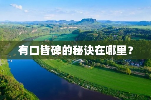 有口皆碑的秘诀在哪里?