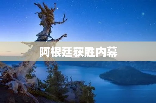 阿根廷获胜内幕:足球背后的政治与利益 阿根廷获胜内幕:足球背后的政治与利益