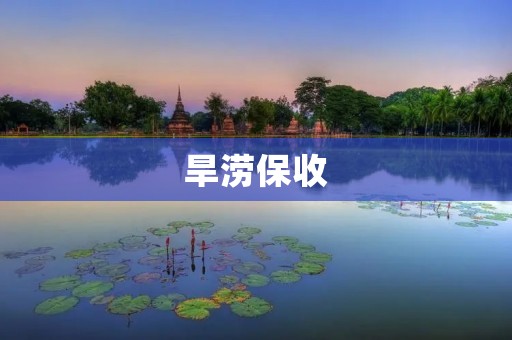 旱涝保收:科技助力农业生产 旱涝保收:科技助力农业生产