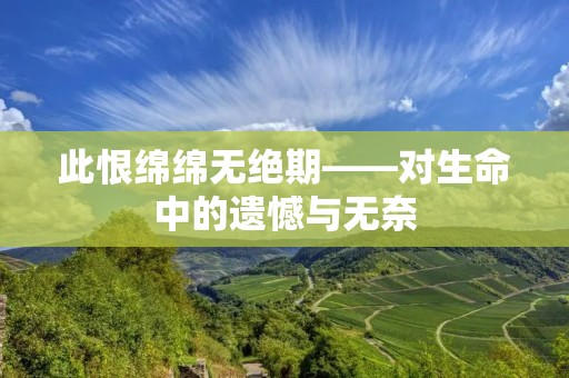 此恨绵绵无绝期——对生命中的遗憾与无奈