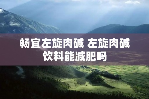 畅宜左旋肉碱 左旋肉碱饮料能减肥吗