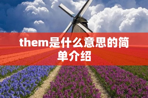 them是什么意思的简单介绍 them是什么意思的简单介绍