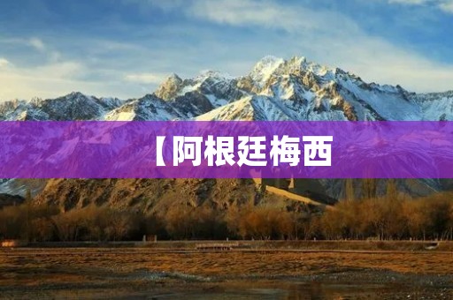 【阿根廷梅西：足球之神的传奇人生】