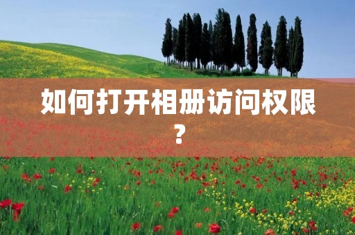 如何打开相册访问权限?