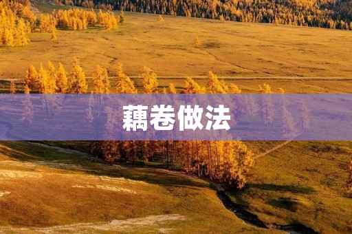 藕卷做法：美味佳肴让你回味无穷