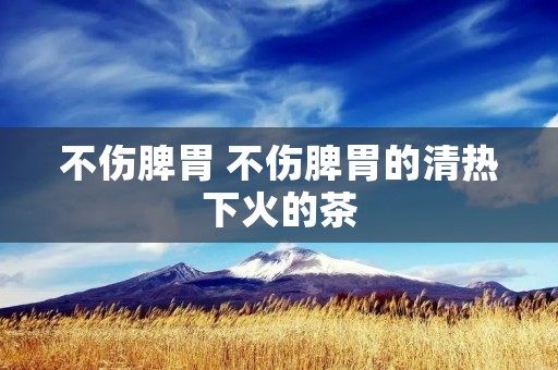 不伤脾胃 不伤脾胃的清热下火的茶 不伤脾胃 不伤脾胃的清热下火的茶
