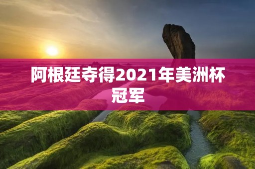 阿根廷夺得2021年美洲杯冠军 阿根廷夺得2021年美洲杯冠军