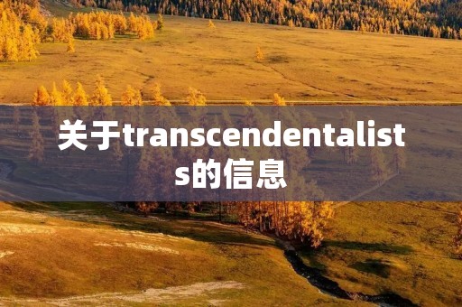 关于transcendentalists的信息