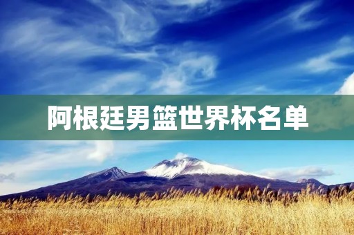 阿根廷男篮世界杯名单