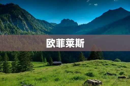 欧菲莱斯：一款高端时尚的手机品牌