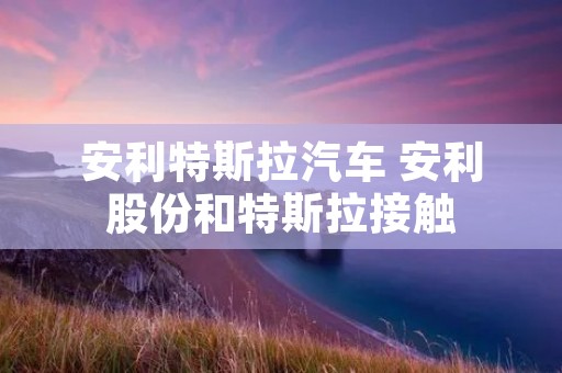 安利特斯拉汽车 安利股份和特斯拉接触 安利特斯拉汽车 安利股份和特斯拉接触